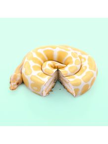 quadro-snake-cake