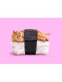 quadro-sushi-cat