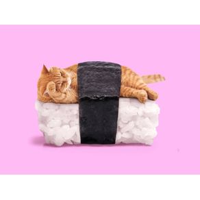 quadro-sushi-cat
