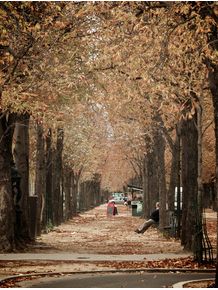 quadro-boulevard-de-outono-em-paris