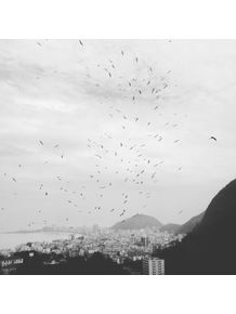 quadro-gaivotas-sobre-o-rio
