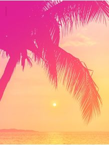 quadro-sunset-tropical