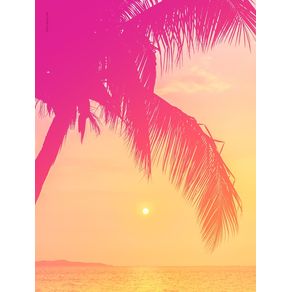 quadro-sunset-tropical