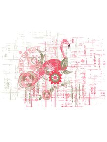quadro-o-flamingo