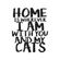 quadro-home-you-cats