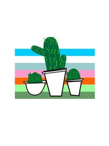 quadro-cores-cactus