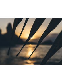 quadro-sunset-bay