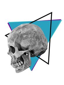 quadro-geometry-skull