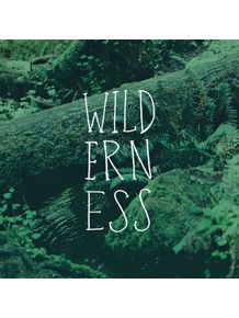 quadro-wilderness