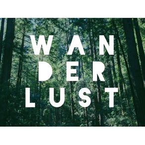 quadro-wander-forest
