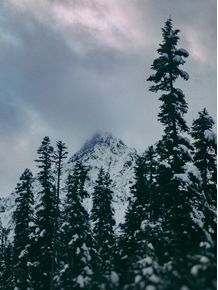 quadro-cascade-winter-mountain