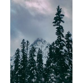 quadro-cascade-winter-mountain