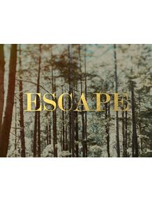 quadro-escape-forest