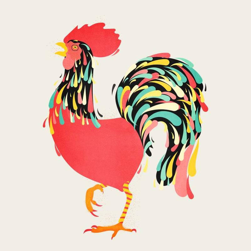 Galo Colorido Urbanarts