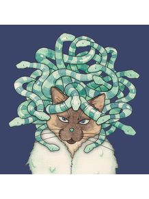 quadro-medusa-cat