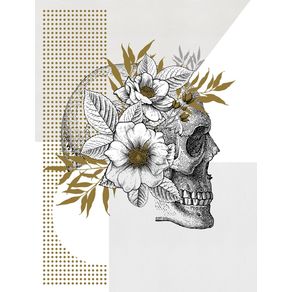 quadro-anatomia-das-flores