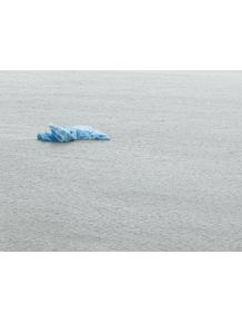 quadro-baby-iceberg