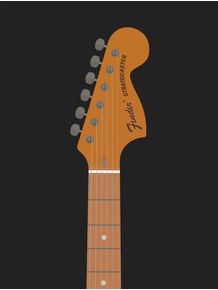 quadro-stratocaster-guitar