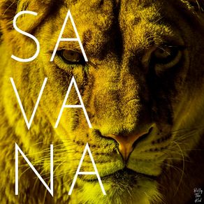 quadro-savana--travel-series