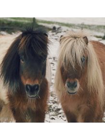 quadro-mini-horses