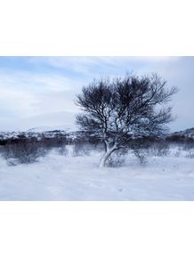 quadro-iceland-snow