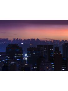quadro-sao-paulo-skyline-2