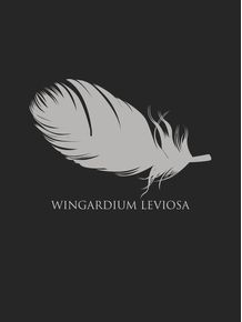 quadro-wingardium-leviosa