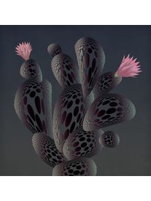 quadro-night-cactus