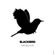 quadro-blackbird-the-beatles