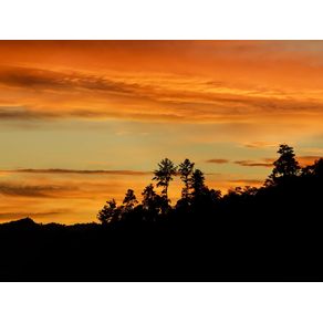 quadro-sunset-sc