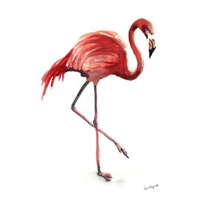 quadro-carlos-o-flamingo