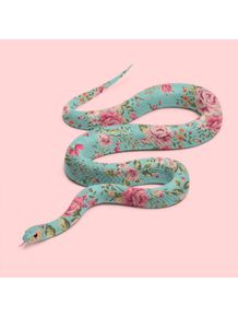 quadro-floral-snake