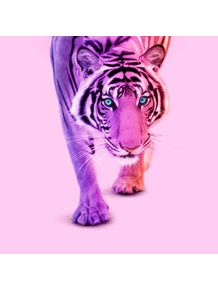 quadro-color-tiger