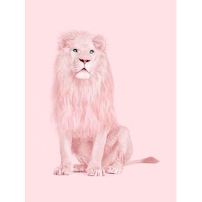 quadro-albino-lion