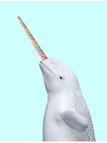 quadro-sea-unicorn