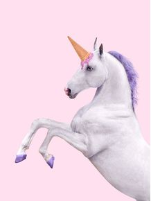 quadro-pink-unicorn