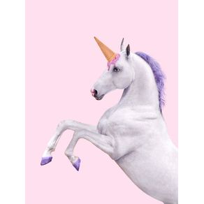 quadro-pink-unicorn