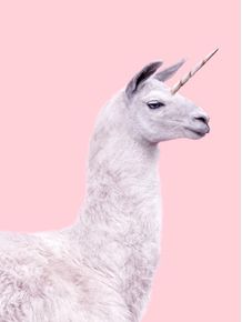 quadro-unicorn-lama-2