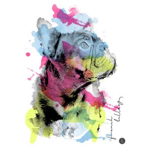 quadro-abstract-french-bulldog