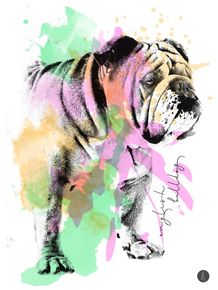 quadro-abstract-english-bulldog