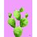 quadro-cacto-verde-lilas