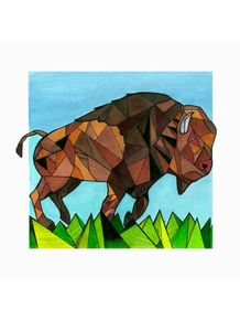 quadro-bufalo-bison