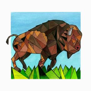 quadro-bufalo-bison