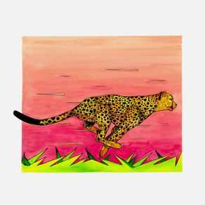 quadro-cheetah