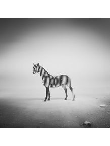quadro-zebra-mist