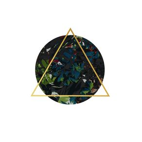 quadro-dark-floral-triangle