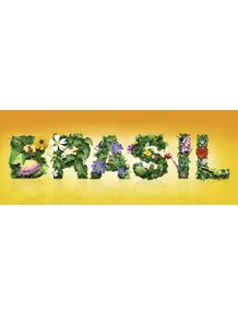 quadro-brasil-brasileiro-8