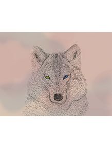 quadro-wolfie