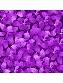 quadro-purple-botanical-garden