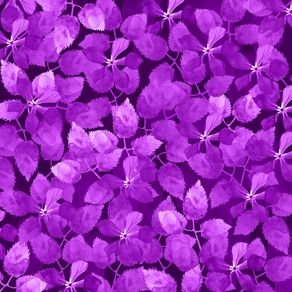 quadro-purple-botanical-garden